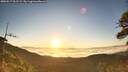 ./images/calvert/fitz-hugh-hecate/20260517/fitz-hugh-hecate20260517_061501M.jpg