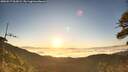 ./images/calvert/fitz-hugh-hecate/20260517/fitz-hugh-hecate20260517_062002M.jpg