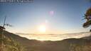 ./images/calvert/fitz-hugh-hecate/20260517/fitz-hugh-hecate20260517_063001M.jpg