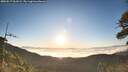./images/calvert/fitz-hugh-hecate/20260517/fitz-hugh-hecate20260517_063501M.jpg