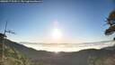 ./images/calvert/fitz-hugh-hecate/20260517/fitz-hugh-hecate20260517_064502M.jpg