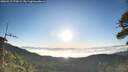./images/calvert/fitz-hugh-hecate/20260517/fitz-hugh-hecate20260517_070001M.jpg