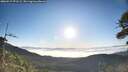 ./images/calvert/fitz-hugh-hecate/20260517/fitz-hugh-hecate20260517_071502M.jpg
