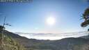 ./images/calvert/fitz-hugh-hecate/20260517/fitz-hugh-hecate20260517_073001M.jpg