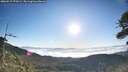 ./images/calvert/fitz-hugh-hecate/20260517/fitz-hugh-hecate20260517_073501M.jpg