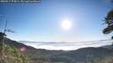 ./images/calvert/fitz-hugh-hecate/20260517/fitz-hugh-hecate20260517_074001M.jpg