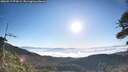 ./images/calvert/fitz-hugh-hecate/20260517/fitz-hugh-hecate20260517_074502M.jpg