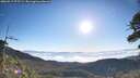 ./images/calvert/fitz-hugh-hecate/20260517/fitz-hugh-hecate20260517_075501M.jpg