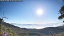 ./images/calvert/fitz-hugh-hecate/20260517/fitz-hugh-hecate20260517_080002M.jpg
