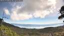 ./images/calvert/fitz-hugh-hecate/20260517/fitz-hugh-hecate20260517_102002M.jpg