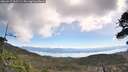 ./images/calvert/fitz-hugh-hecate/20260517/fitz-hugh-hecate20260517_102501M.jpg