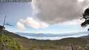 ./images/calvert/fitz-hugh-hecate/20260517/fitz-hugh-hecate20260517_105501M.jpg