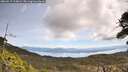 ./images/calvert/fitz-hugh-hecate/20260517/fitz-hugh-hecate20260517_114001M.jpg