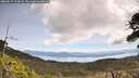 ./images/calvert/fitz-hugh-hecate/20260517/fitz-hugh-hecate20260517_114501M.jpg