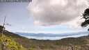 ./images/calvert/fitz-hugh-hecate/20260517/fitz-hugh-hecate20260517_115001M.jpg