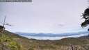 ./images/calvert/fitz-hugh-hecate/20260517/fitz-hugh-hecate20260517_125001M.jpg
