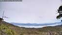 ./images/calvert/fitz-hugh-hecate/20260517/fitz-hugh-hecate20260517_125502M.jpg