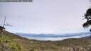 ./images/calvert/fitz-hugh-hecate/20260517/fitz-hugh-hecate20260517_131502M.jpg