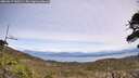 ./images/calvert/fitz-hugh-hecate/20260517/fitz-hugh-hecate20260517_140501M.jpg
