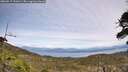 ./images/calvert/fitz-hugh-hecate/20260517/fitz-hugh-hecate20260517_141001M.jpg