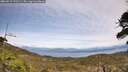 ./images/calvert/fitz-hugh-hecate/20260517/fitz-hugh-hecate20260517_141501M.jpg