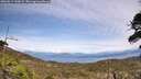 ./images/calvert/fitz-hugh-hecate/20260517/fitz-hugh-hecate20260517_142002M.jpg