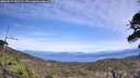 ./images/calvert/fitz-hugh-hecate/20260517/fitz-hugh-hecate20260517_142502M.jpg