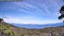 ./images/calvert/fitz-hugh-hecate/20260517/fitz-hugh-hecate20260517_143501M.jpg