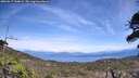 ./images/calvert/fitz-hugh-hecate/20260517/fitz-hugh-hecate20260517_144001M.jpg