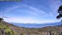 ./images/calvert/fitz-hugh-hecate/20260517/fitz-hugh-hecate20260517_144501M.jpg