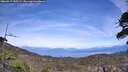 ./images/calvert/fitz-hugh-hecate/20260517/fitz-hugh-hecate20260517_145501M.jpg