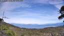 ./images/calvert/fitz-hugh-hecate/20260517/fitz-hugh-hecate20260517_150001M.jpg