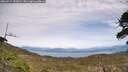 ./images/calvert/fitz-hugh-hecate/20260517/fitz-hugh-hecate20260517_151002M.jpg