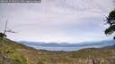 ./images/calvert/fitz-hugh-hecate/20260517/fitz-hugh-hecate20260517_151501M.jpg