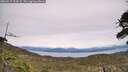./images/calvert/fitz-hugh-hecate/20260517/fitz-hugh-hecate20260517_154502M.jpg