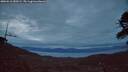 ./images/calvert/fitz-hugh-hecate/20260518/fitz-hugh-hecate20260518_050502M.jpg