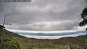 ./images/calvert/fitz-hugh-hecate/20260518/fitz-hugh-hecate20260518_100002M.jpg