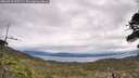 ./images/calvert/fitz-hugh-hecate/20260518/fitz-hugh-hecate20260518_105502M.jpg