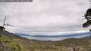 ./images/calvert/fitz-hugh-hecate/20260518/fitz-hugh-hecate20260518_113002M.jpg
