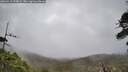 ./images/calvert/fitz-hugh-hecate/20260518/fitz-hugh-hecate20260518_144001M.jpg