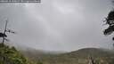./images/calvert/fitz-hugh-hecate/20260518/fitz-hugh-hecate20260518_145002M.jpg