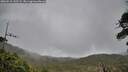 ./images/calvert/fitz-hugh-hecate/20260518/fitz-hugh-hecate20260518_145502M.jpg