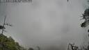 ./images/calvert/fitz-hugh-hecate/20260518/fitz-hugh-hecate20260518_151001M.jpg