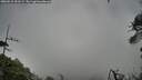 ./images/calvert/fitz-hugh-hecate/20260518/fitz-hugh-hecate20260518_151501M.jpg