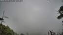 ./images/calvert/fitz-hugh-hecate/20260518/fitz-hugh-hecate20260518_153502M.jpg
