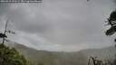 ./images/calvert/fitz-hugh-hecate/20260518/fitz-hugh-hecate20260518_155501M.jpg