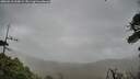 ./images/calvert/fitz-hugh-hecate/20260518/fitz-hugh-hecate20260518_160002M.jpg