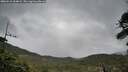 ./images/calvert/fitz-hugh-hecate/20260518/fitz-hugh-hecate20260518_164001M.jpg