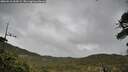 ./images/calvert/fitz-hugh-hecate/20260518/fitz-hugh-hecate20260518_164501M.jpg