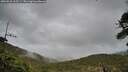 ./images/calvert/fitz-hugh-hecate/20260518/fitz-hugh-hecate20260518_165501M.jpg